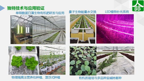 綠領的破局 探討農(nóng)產(chǎn)品優(yōu)質化的創(chuàng)新力量與新范式
