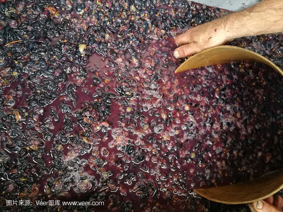 葡萄酒之家生產(chǎn)