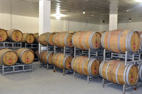 寧夏首個 西北單體規模最大的白蘭地基酒蒸餾項目正式投產