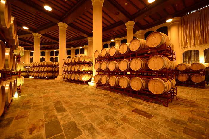 新疆對葡萄酒產(chǎn)業(yè)進(jìn)行調(diào)研