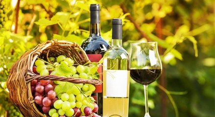 藍(lán)菲葡萄酒學(xué)院丨終于搞清楚有機(jī)葡萄酒、生物動(dòng)力法葡萄酒了!