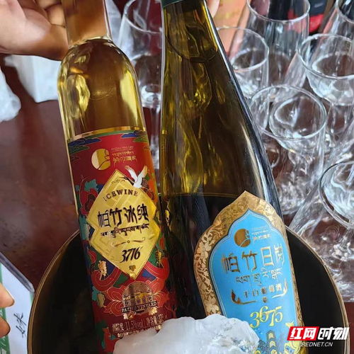 奇遇桑日丨這座海拔3500米的葡萄酒莊,儲(chǔ)藏著高原的甜美